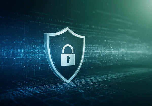 Secure data privacy for WAIS test results