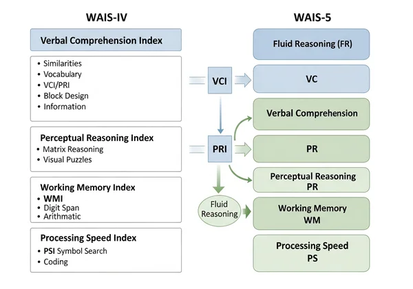 WAIS-5 updated cognitive domains diagram