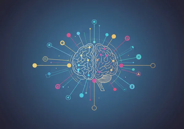 Illustration of crystallized intelligence and vocabulary